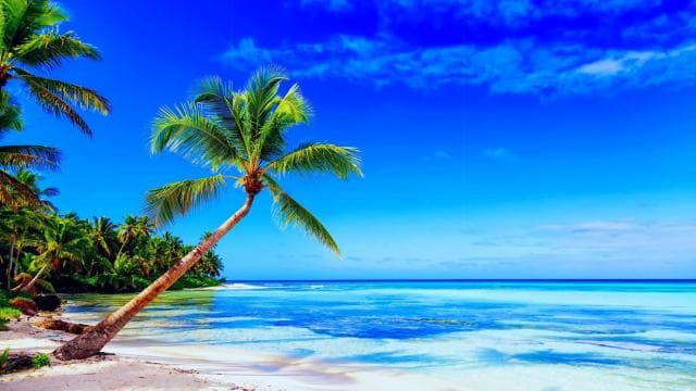 Punta Cana: Samaná Day Tour with Horse Ride and Cruise — Guided tour and outdoor activity