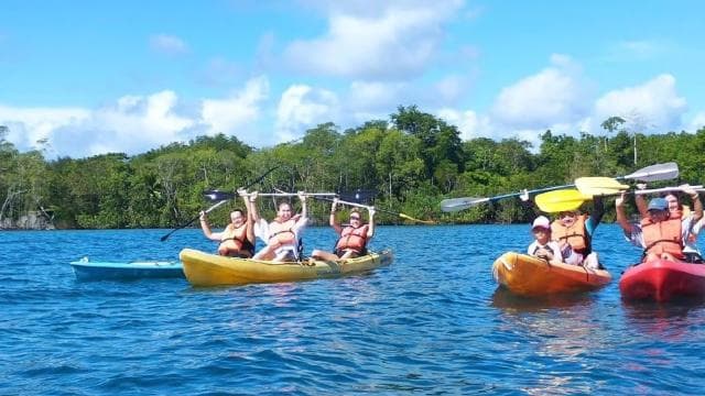 Puerto Jimenez: Kayak Adventure in the Golfo Dulce + Bioluminescence — Guided tour and outdoor activity