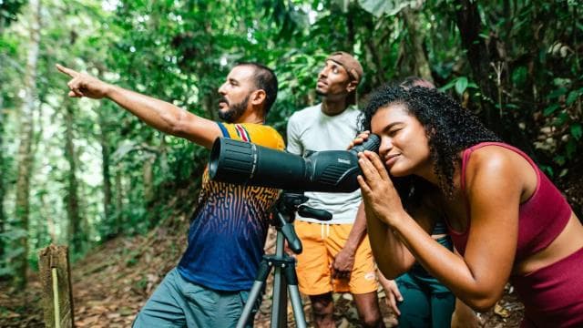 Puerto Viejo Limón: Birdwatching Tour at Nativo Park — Guided tour and outdoor activity