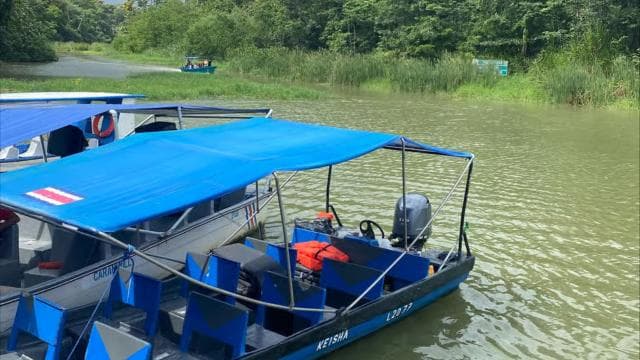 Tortuguero Canal Tour with history from Limon — Guided tour and outdoor activity