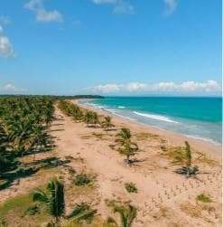 Zip Line Playa Esmeralda With Redonda Mountain — Guided tour and outdoor activity