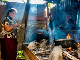 Punta Cana Cultural Tour History and Traditions Small Group — Guided tour and outdoor activity