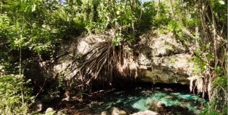 Bayahibe: National Park Jungle Walk & Snorkeling in Cenotes — Guided tour and outdoor activity
