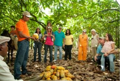 Dominican Republic: 3-Hour Chocolate Lovers Tour â Guided tour and outdoor activity