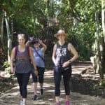 Samana: Bird Watching & Limon Waterfall — Guided tour and outdoor activity
