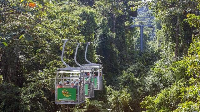 Monteverde: 3-in-1 Sky Tram, Sky Trek and Sky Walk — Guided tour and outdoor activity