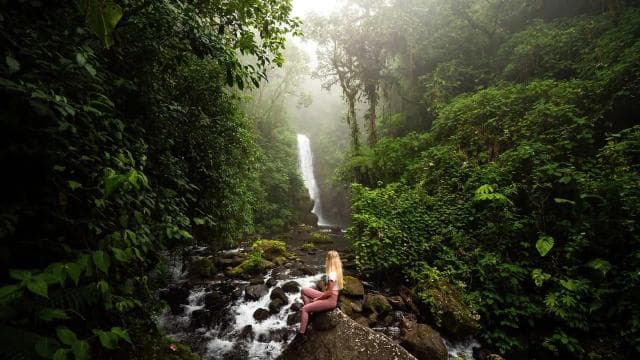 From San Jose: La Paz Waterfall Gardens Guided Day Tour — Guided tour and outdoor activity