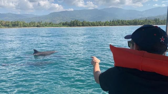 Marino Ballena National Park: Watching Whales and Dolphins — Guided tour and outdoor activity