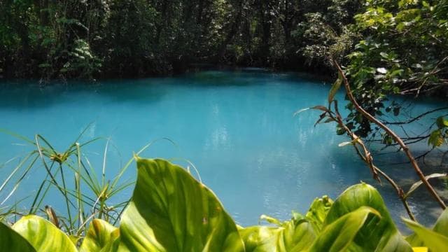 Papagayo Gulf: Rio Celeste Waterfall & Sloth Encounter Tour — Guided tour and outdoor activity