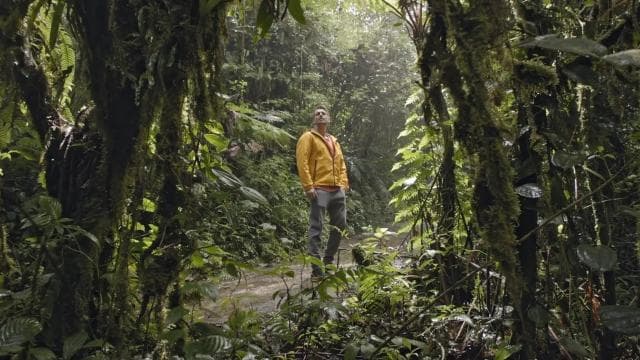 Monteverde: SkyWalk Hanging Bridges Adventure — Guided tour and outdoor activity