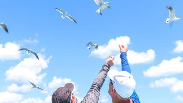From Punta Cana: Saona Island Trip via Speedboat with Lunch — Guided tour and outdoor activity