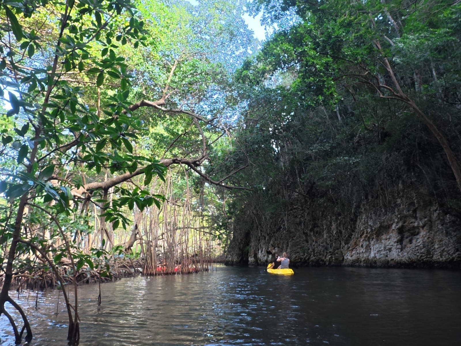 Los Haitises Sunset Kayak & Caves Tour from Samana (with Snacks & Wine) — Guided tour and outdoor activity