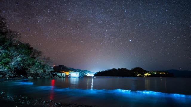 Bioluminescence Tour; Speedboat, Camping (From San José) — Guided tour and outdoor activity