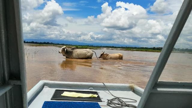 Caño Negro: Wildlife Discovery Tour — Guided tour and outdoor activity