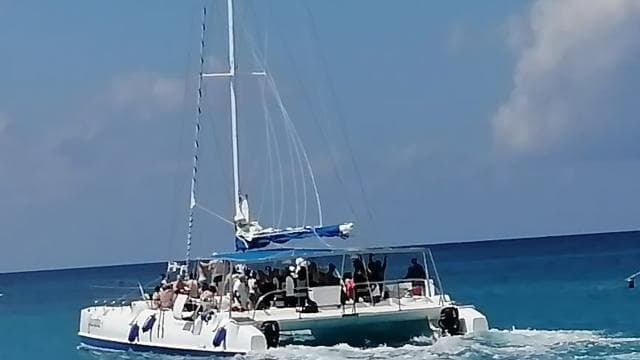 From Punta Cana: Saona Island Tour with Transfer and Lunch — Guided tour and outdoor activity