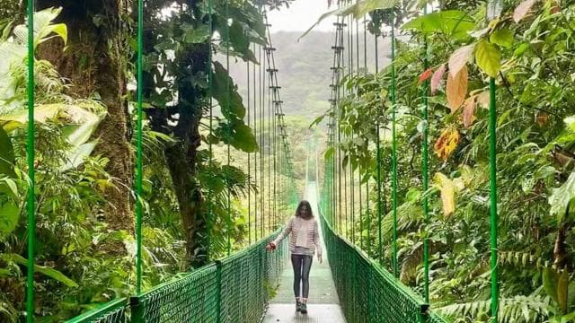 Monteverde: Cloud Forest Hanging Bridges Guided Tour — Guided tour and outdoor activity