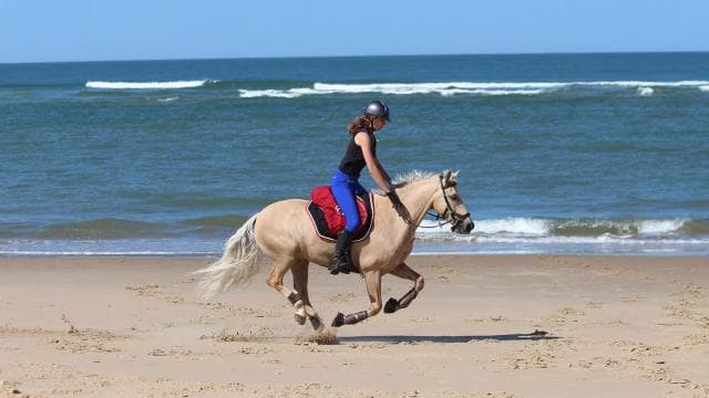 Uvita: Horseback Riding Costa Rica — Guided tour and outdoor activity