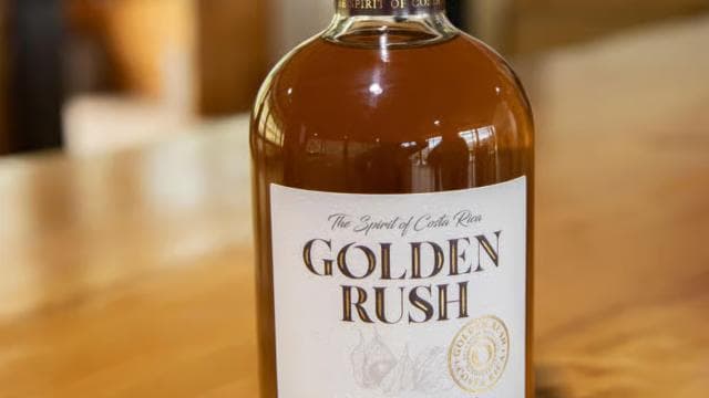 Wine Tour and Golden Rush — Guided tour and outdoor activity