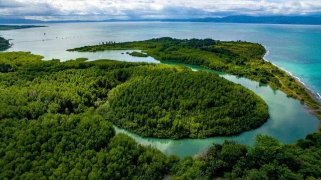 Puerto Jimenez Historic Walking Tour â Guided tour and outdoor activity