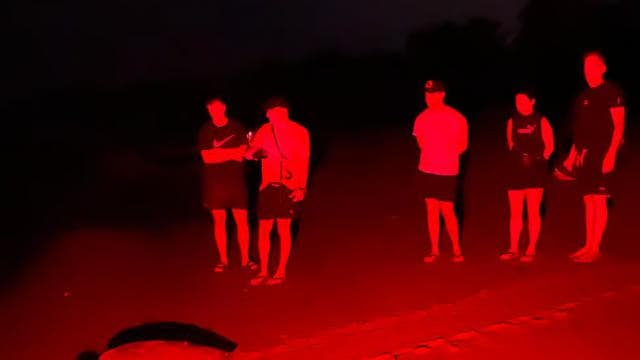 Tamarindo: Turtle Watching Night Tour with Expert Naturalist — Guided tour and outdoor activity