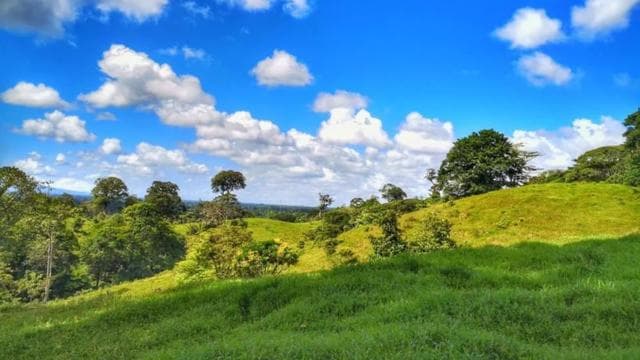 La Fortuna: Rainforest Nature Hike with Guide — Guided tour and outdoor activity