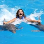 Punta Cana: Dolphin Discovery Swims and Encounters — Guided tour and outdoor activity