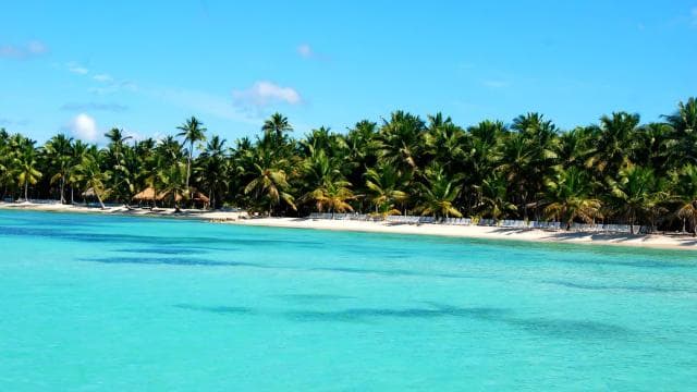 Saona Island: (4 beaches) Canto de la Playa from Punta Cana — Guided tour and outdoor activity