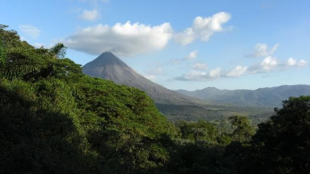 Arenal Forest: Bird Observation & Photography Tour — Guided tour and outdoor activity