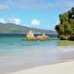 Ultimate Whale Watching Adventure in Samaná Bay — Guided tour and outdoor activity