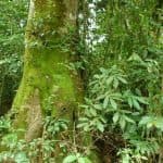 Hike + Kayak Los Haitises — Guided tour and outdoor activity