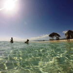 Cayo Arena: Paradise Island and Mangroves Tour — Guided tour and outdoor activity