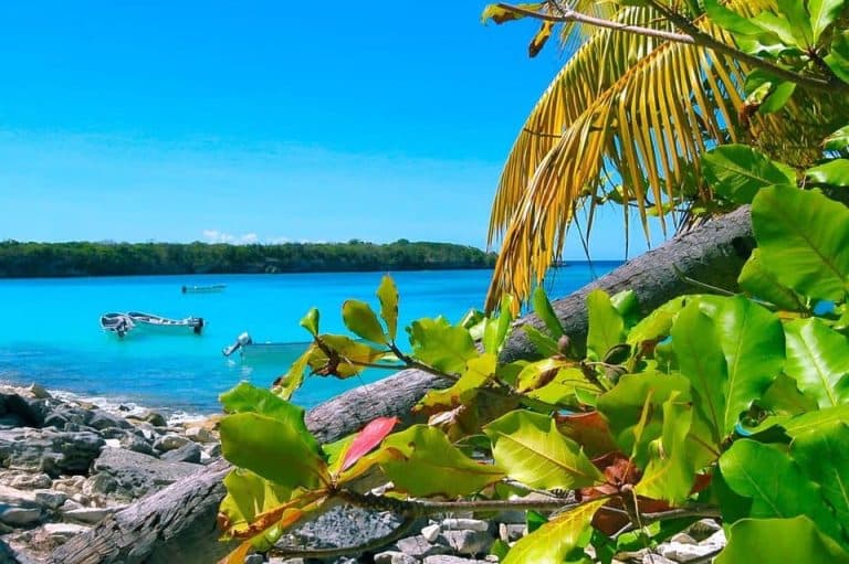 Punta Cana or La Romana: Catalina Island Tour and Snorkeling — Guided tour and outdoor activity
