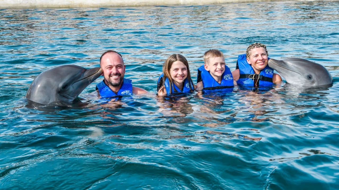 Saona Island: Catamaran Tour to Saona Island All Inclusive — Guided tour and outdoor activity
