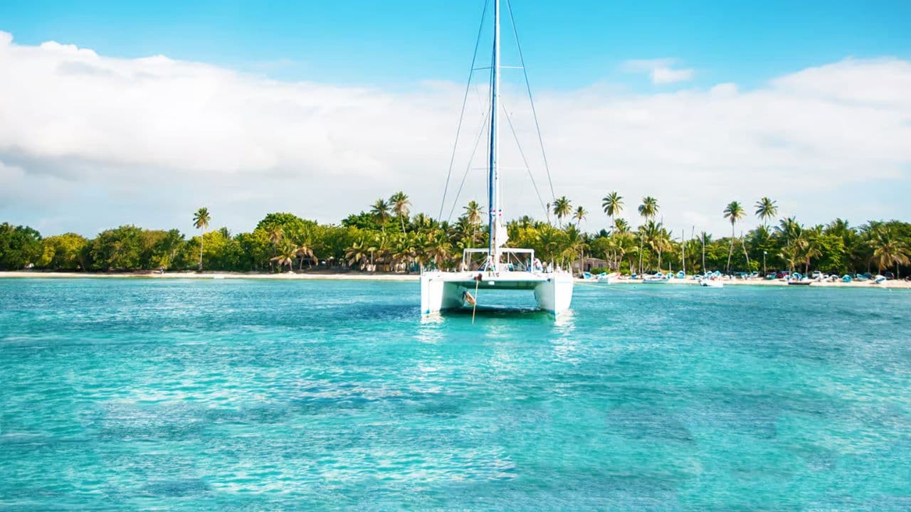 Saona Island catamaran experience with lunch from punta cana â Guided tour and outdoor activity