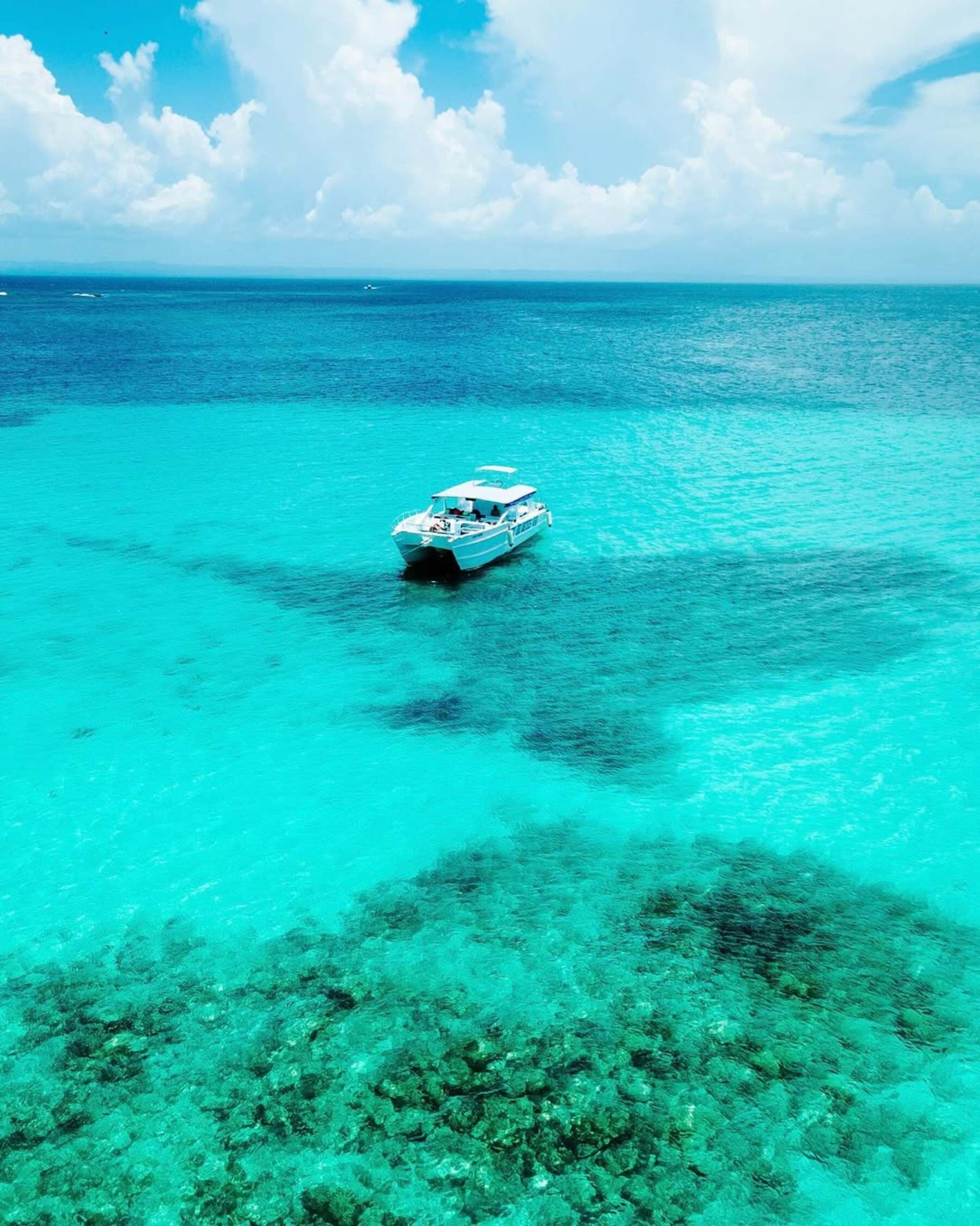 Best Los Haitises & Cayo Levantado Excursion from Samaná — Guided tour and outdoor activity